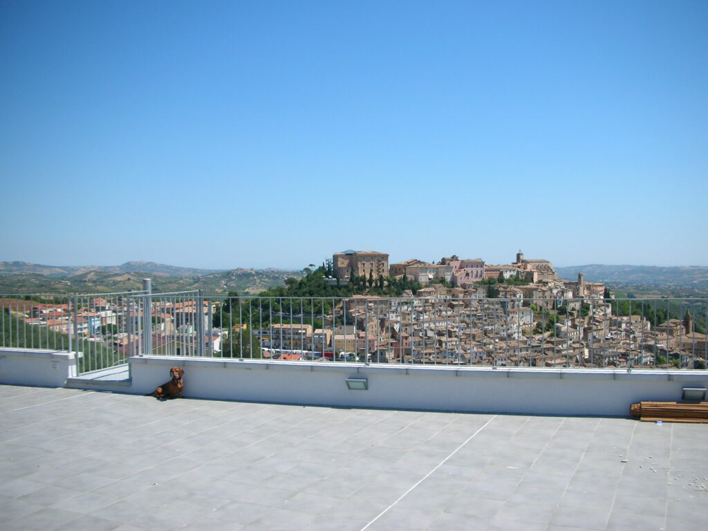 DSCN3031