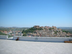 DSCN3031