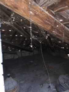 IMG_6624
